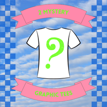 Load image into Gallery viewer, 2 Mystery Tees
