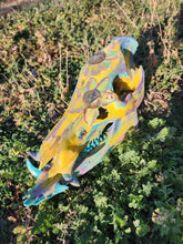 Load image into Gallery viewer, Hog skull
