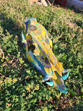 Load image into Gallery viewer, Hog skull
