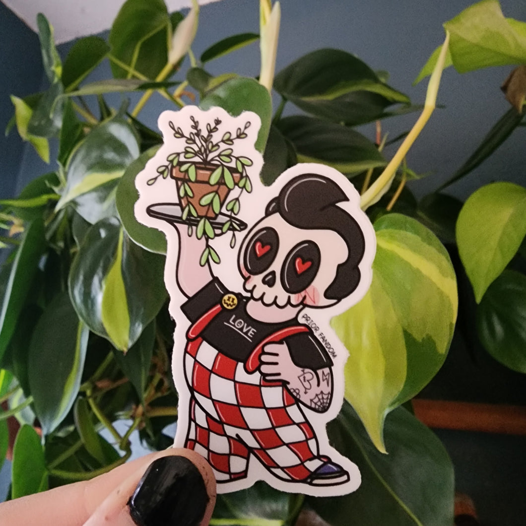 Skelly plant boy